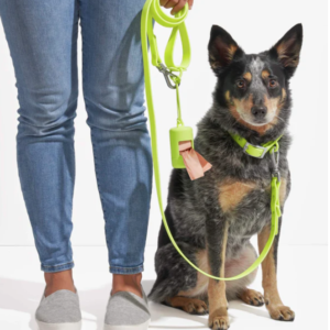 Alternative view of Wild One Collar - X Small - Limeade **Limited Edition**